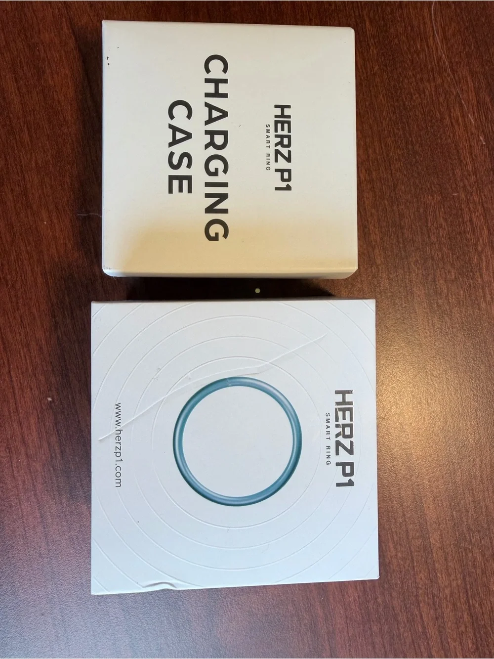 HERZ P1 Smart Ring Size 10 Silver w/ Portable Charger